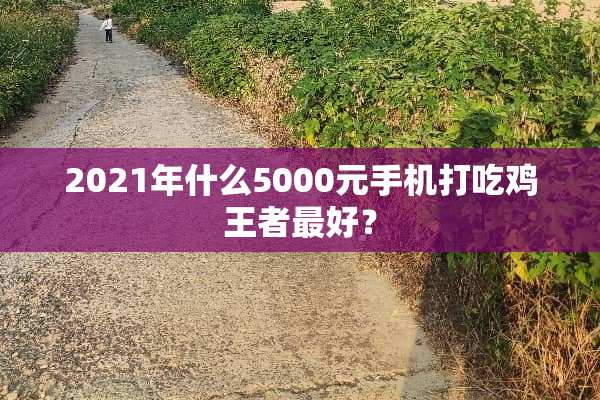 2021年什么5000元手机打吃鸡王者最好？