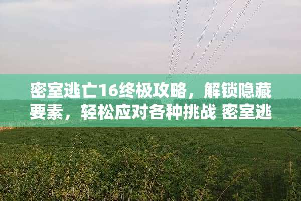 密室逃亡16终极攻略，解锁隐藏要素，轻松应对各种挑战 密室逃亡16攻略