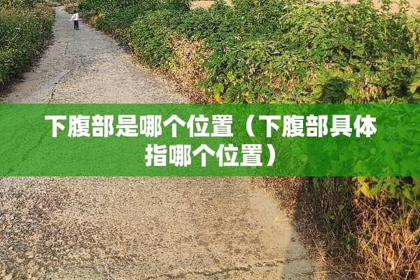 下腹部是哪个位置（下腹部具体指哪个位置）