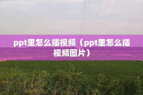 ppt里怎么插视频（ppt里怎么插视频图片）