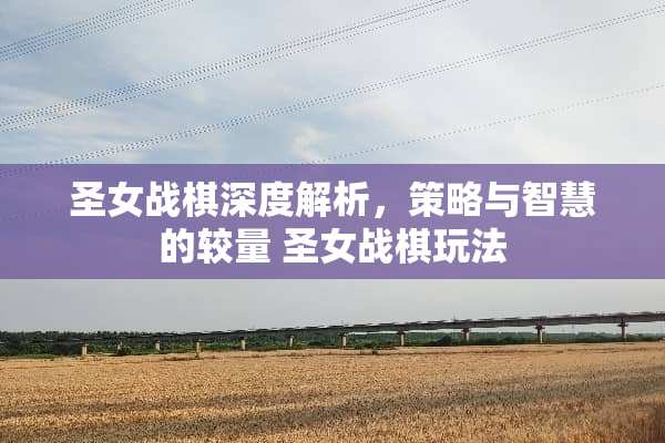 圣女战棋深度解析，策略与智慧的较量 圣女战棋玩法