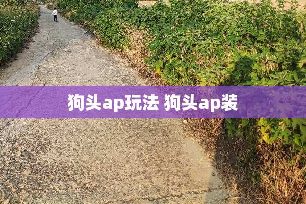 狗头ap玩法 狗头ap装