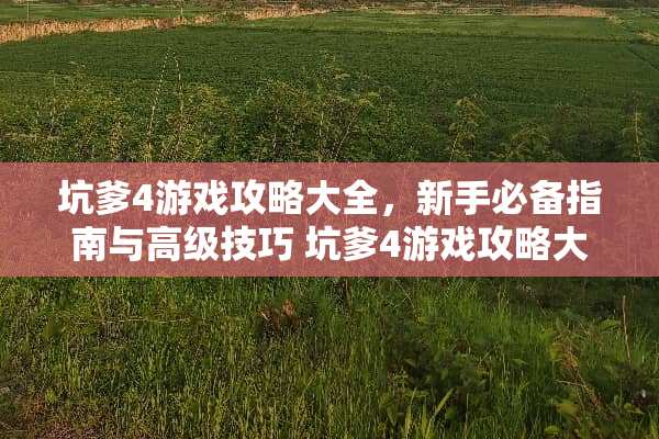 坑爹4游戏攻略大全，新手必备指南与高级技巧 坑爹4游戏攻略大全