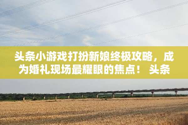 头条小游戏打扮新娘终极攻略，成为婚礼现场最耀眼的焦点！ 头条小游戏打扮新娘攻略