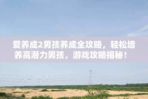 爱养成2男孩养成全攻略，轻松培养高潜力男孩，游戏攻略揭秘！ 爱养成2男孩攻略