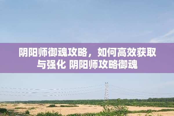 *阳师御魂攻略，如何高效获取与强化*阳师攻略御魂