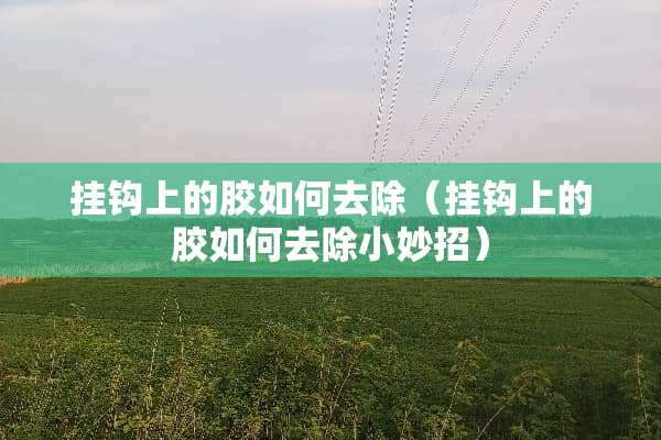 挂钩上的胶如何去除（挂钩上的胶如何去除小妙招）