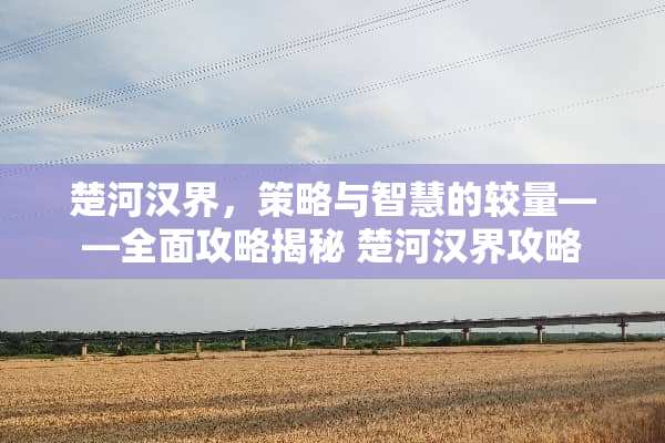 楚河汉界，策略与智慧的较量——全面攻略揭秘 楚河汉界攻略