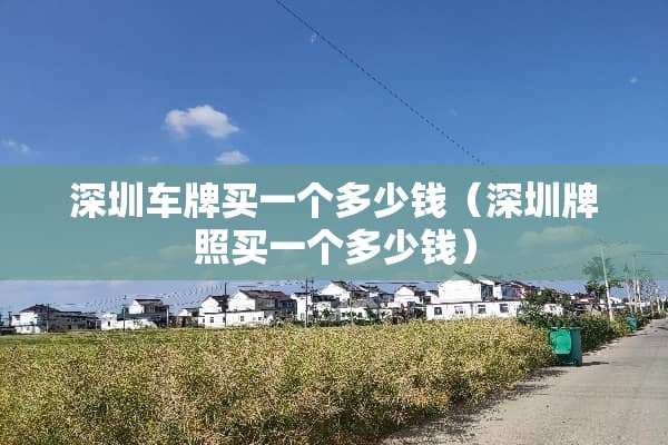 深圳车牌买一个多少钱（深圳牌照买一个多少钱）