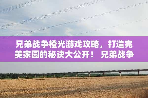 兄弟战争橙光游戏攻略，打造完美家园的秘诀大公开！ 兄弟战争橙光游戏攻略
