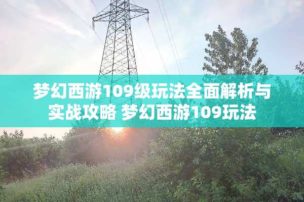 梦幻西游109级玩法全面解析与实战攻略 梦幻西游109玩法
