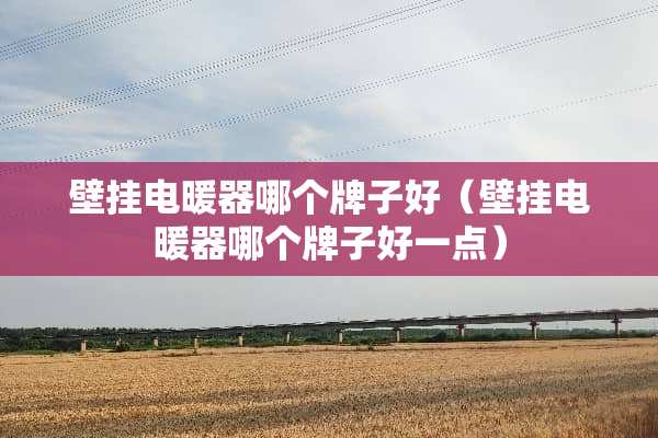 壁挂电暖器哪个牌子好（壁挂电暖器哪个牌子好一点）