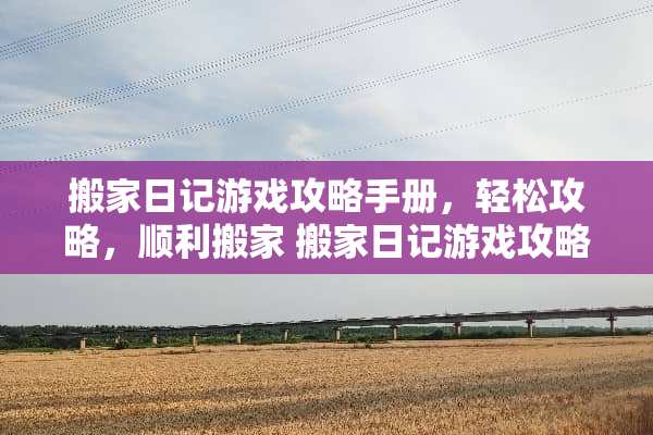 搬家日记游戏攻略手册，轻松攻略，顺利搬家 搬家日记游戏攻略手册