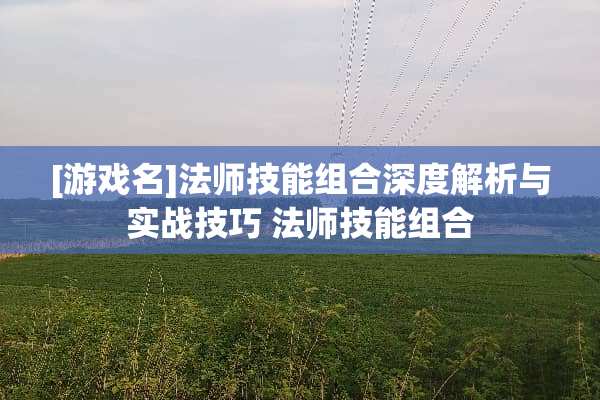 [游戏名]法师技能组合深度解析与实战技巧 法师技能组合