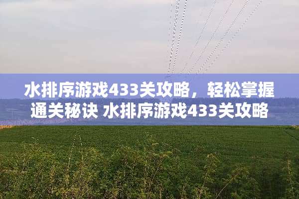 水排序游戏433关攻略，轻松掌握通关秘诀 水排序游戏433关攻略