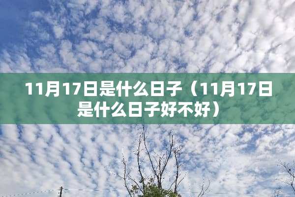 11月17日是什么日子（11月17日是什么日子好不好）