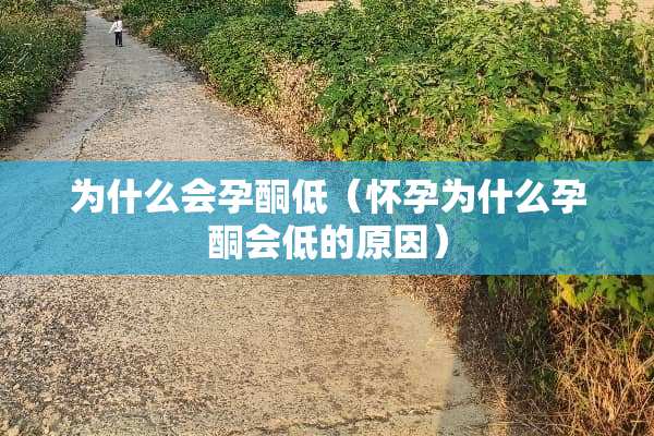 为什么会孕酮低（怀孕为什么孕酮会低的原因）