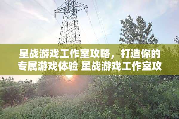 星战游戏工作室攻略，打造你的专属游戏体验 星战游戏工作室攻略