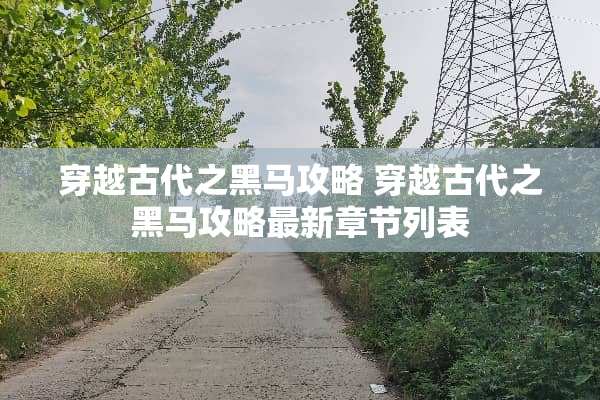 穿越古代之黑马攻略 穿越古代之黑马攻略最新章节列表