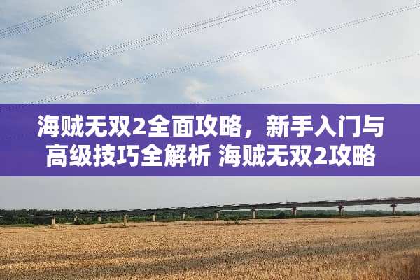 海贼无双2全面攻略，新手入门与高级技巧全解析 海贼无双2攻略