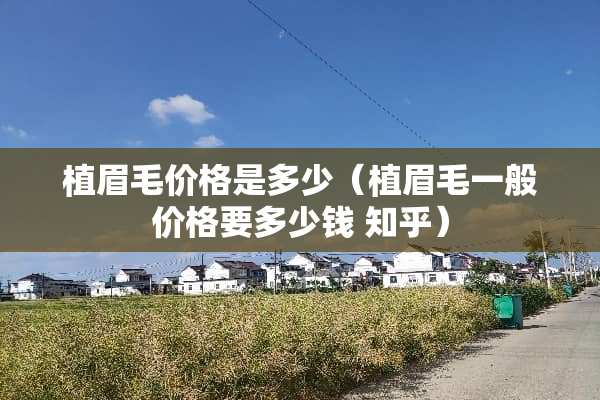 植眉毛价格是多少（植眉毛一般价格要多少钱 知乎）