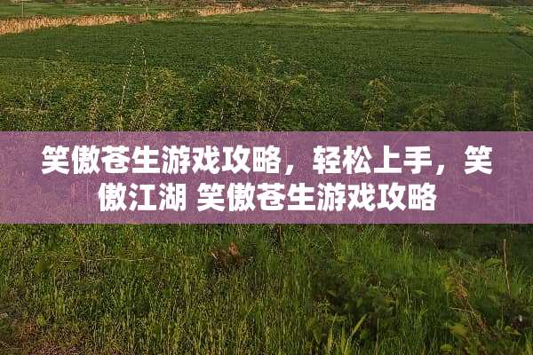 笑傲苍生游戏攻略，轻松上手，笑傲江湖 笑傲苍生游戏攻略
