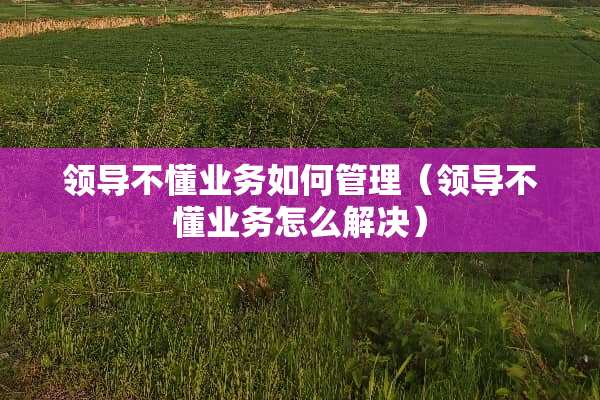 领导不懂业务如何管理（领导不懂业务怎么解决）