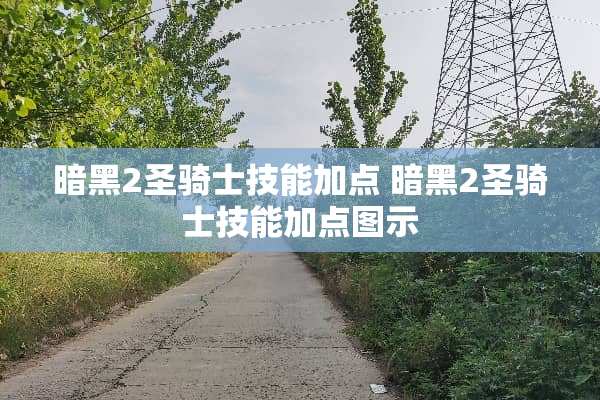 暗黑2圣骑士技能加点 暗黑2圣骑士技能加点图示