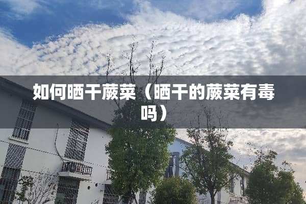如何晒干蕨菜（晒干的蕨菜有毒吗）