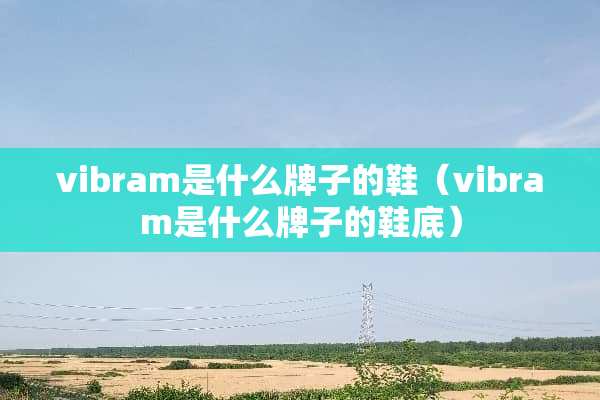 vibram是什么牌子的鞋（vibram是什么牌子的鞋底）