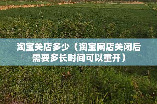 淘宝关店多少（淘宝网店关闭后需要多长时间可以重开）