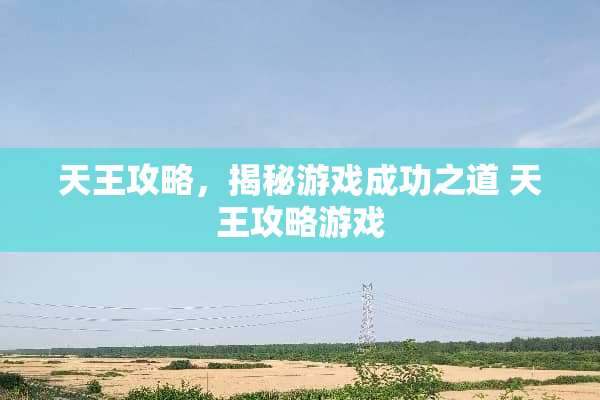 天王攻略，揭秘游戏成功之道 天王攻略游戏