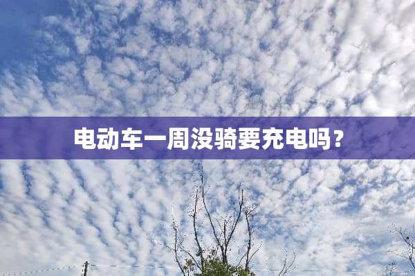 电动车一周没骑要充电吗？