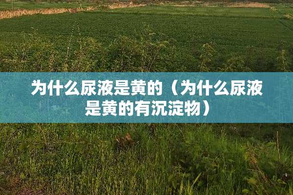 为什么尿液是黄的（为什么尿液是黄的有沉淀物）