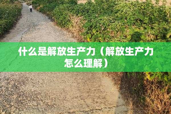 什么是解放生产力（解放生产力怎么理解）