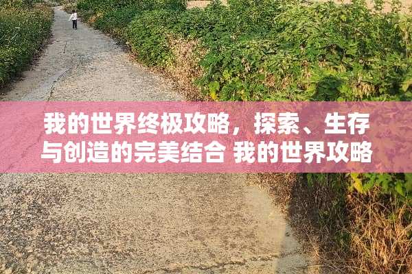 我的世界终极攻略，探索、生存与创造的完美结合 我的世界攻略书