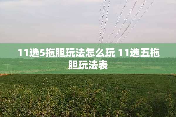11选5拖胆玩法怎么玩 11选五拖胆玩法表