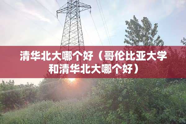 清华北大哪个好（哥伦比亚大学和清华北大哪个好）