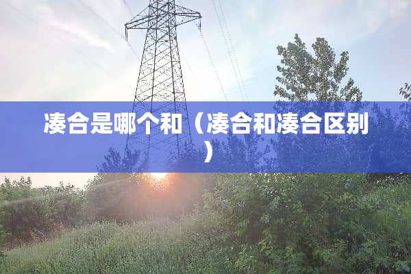 凑合是哪个和（凑合和凑合区别）