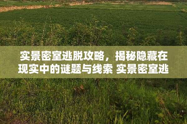 实景密室逃脱攻略，揭秘隐藏在现实中的谜题与线索 实景密室逃脱攻略