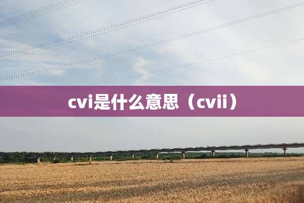 cvi是什么意思（cvii）