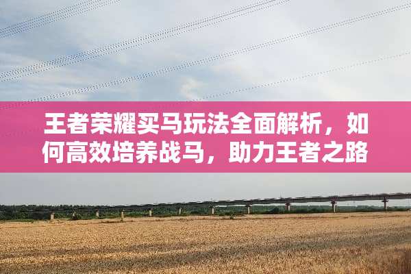王者荣耀买马玩法全面解析，如何高效培养战马，助力王者之路 买马的详细玩法介绍