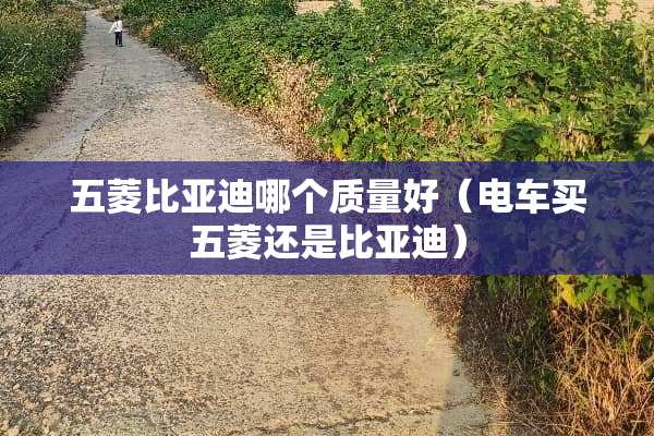 五菱比亚迪哪个质量好（电车买五菱还是比亚迪）