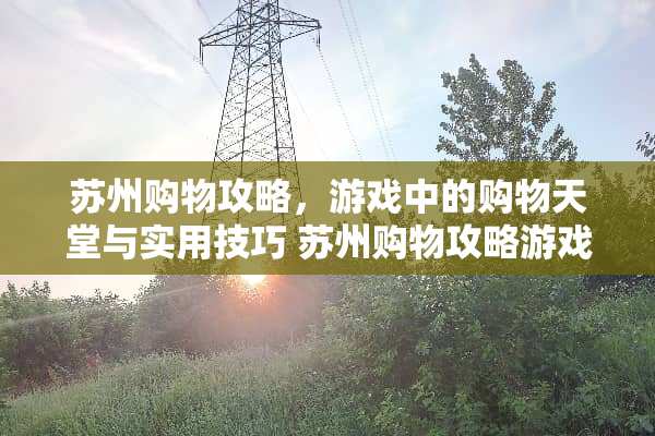 苏州购物攻略，游戏中的购物天堂与实用技巧 苏州购物攻略游戏推荐