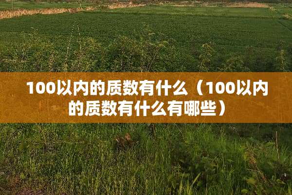 100以内的质数有什么（100以内的质数有什么有哪些）