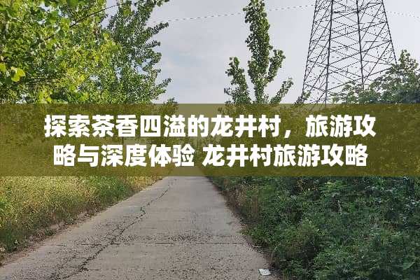 探索茶香四溢的龙井村，旅游攻略与深度体验 龙井村旅游攻略