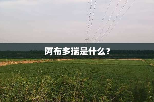 阿布多瑞是什么？