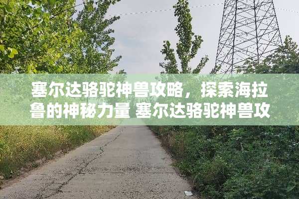 塞尔达骆驼神兽攻略，探索海拉鲁的神秘力量 塞尔达骆驼神兽攻略