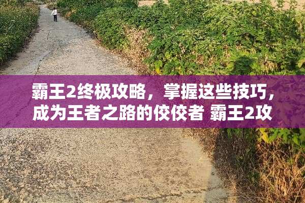 **2终极攻略，掌握这些技巧，成为王者之路的佼佼者**2攻略游戏