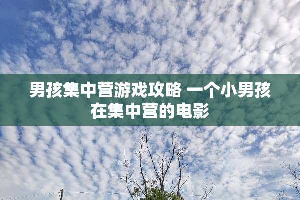 男孩集中营游戏攻略 一个小男孩在集中营的电影